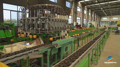 Первый форум службы происхождения по стандартизации фруктов