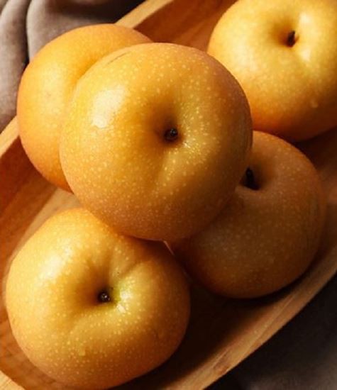 Сорта груши