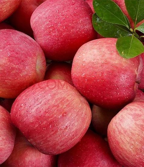 Все виды яблок